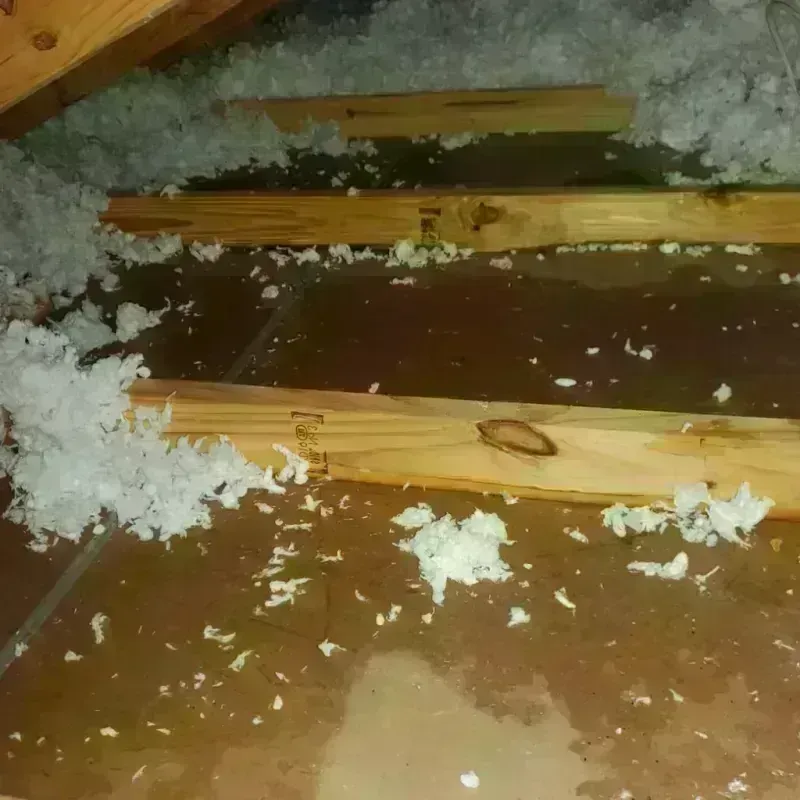 Attic Water Damage in Fords Prairie, WA