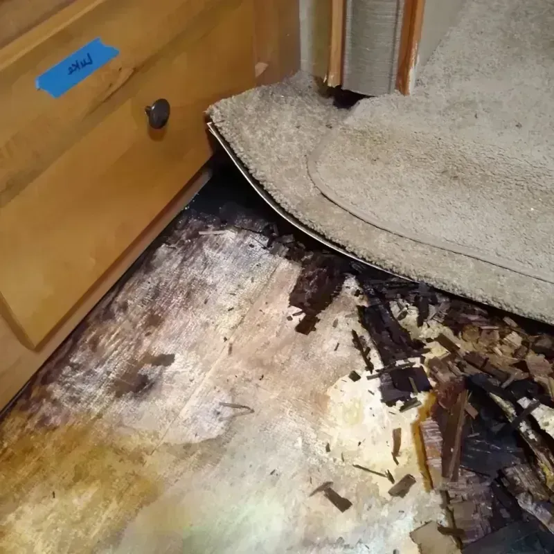 Wood Floor Water Damage in Fords Prairie, WA